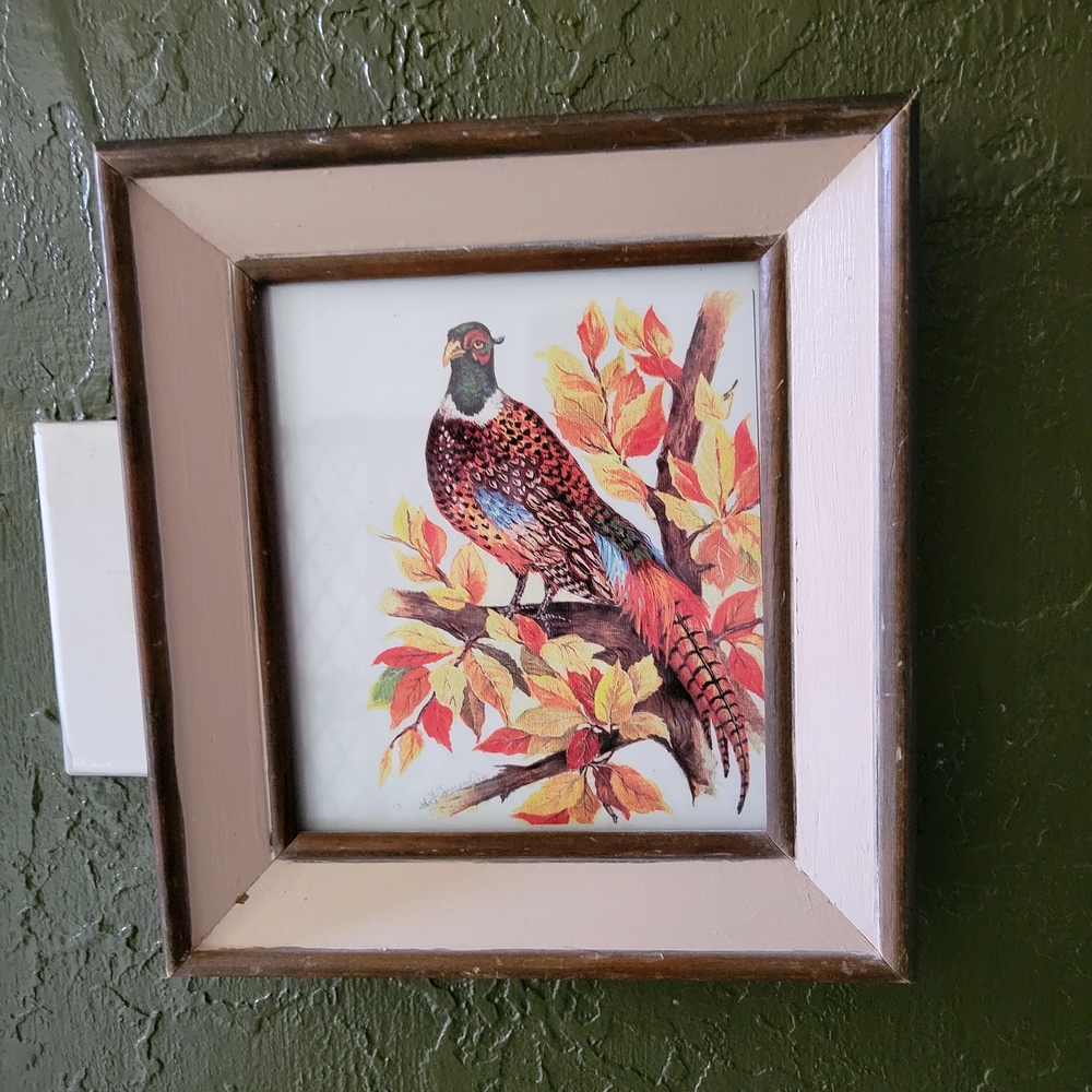 John Cornacchio Vintage Ring Neck Pheasant